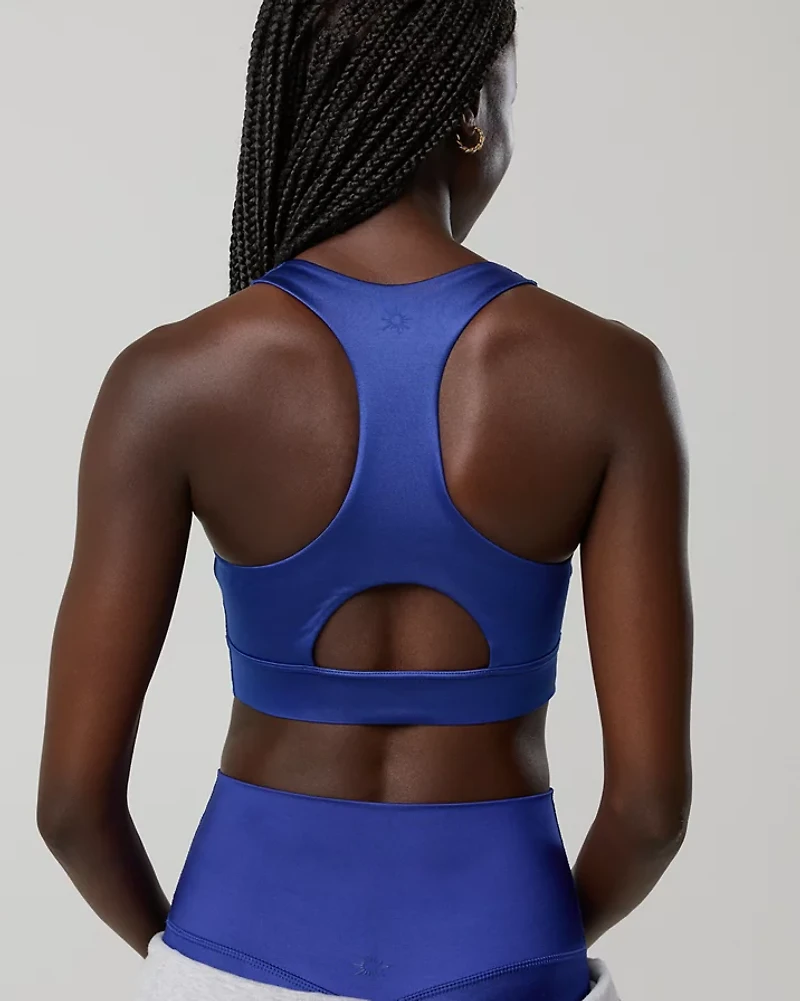 OFFLINE By Aerie Goals Gloss High Neck Sports Bra