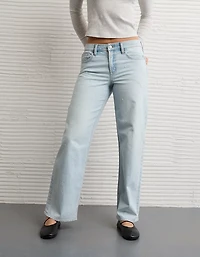 AE Embellished Strigid High-Waisted Stovepipe Jean