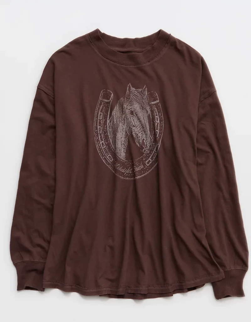 Aerie Cozy Oversized Long Sleeve Boyfriend T-Shirt