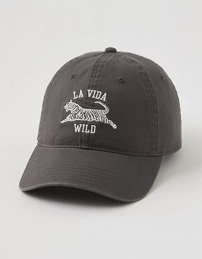 Aerie Graphic Baseball Hat