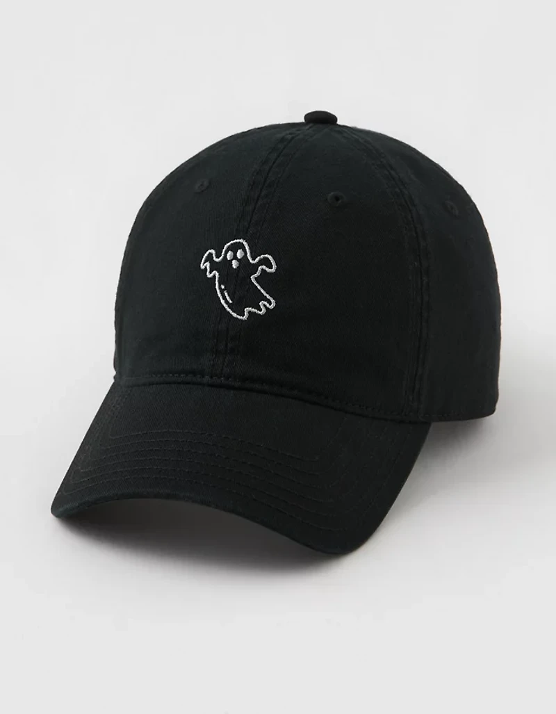 Aerie Graphic Baseball Hat