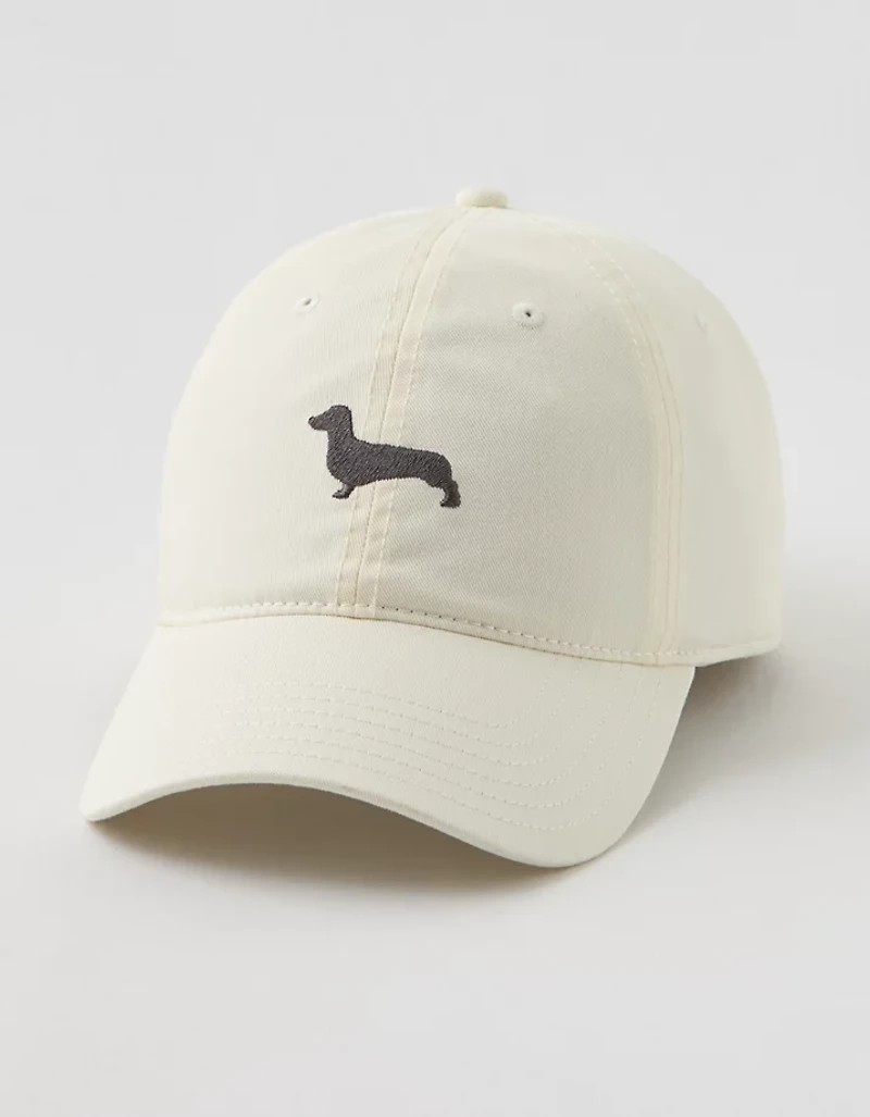 Aerie Graphic Baseball Hat