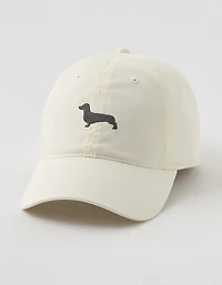 Aerie Graphic Baseball Hat