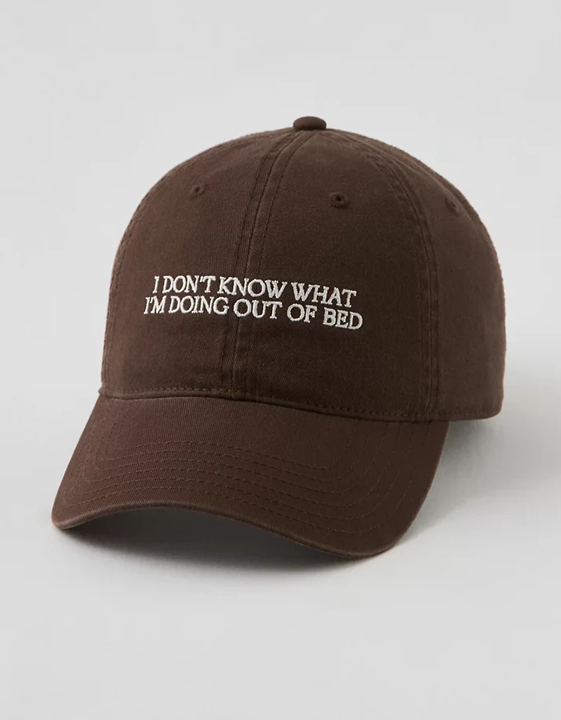 Aerie Graphic Baseball Hat