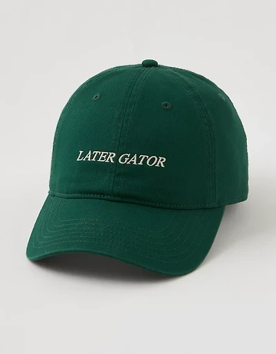 Aerie Graphic Baseball Hat