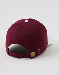 Aerie Colorblock Baseball Hat
