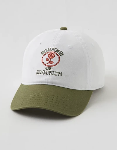 Aerie Baseball Hat