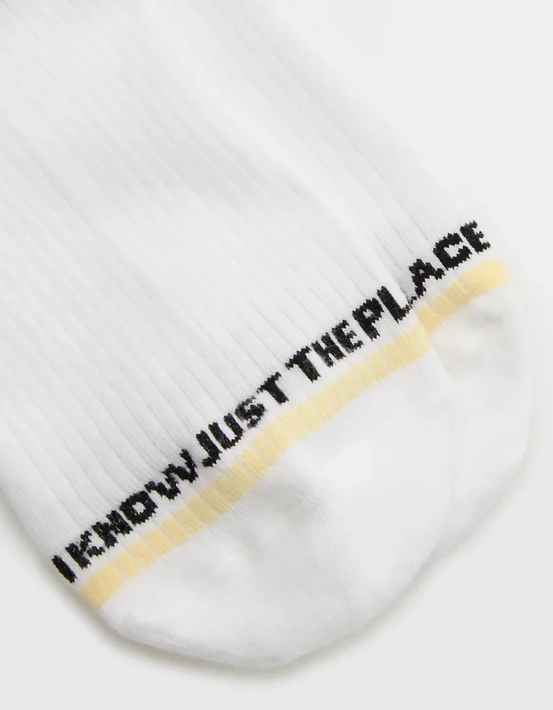 Aerie Ribbed Cotton Crew Socks