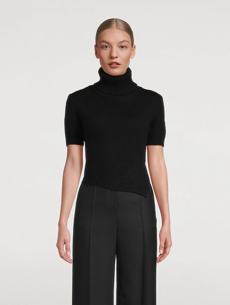 Dria Cashmere And Mohair Turtleneck