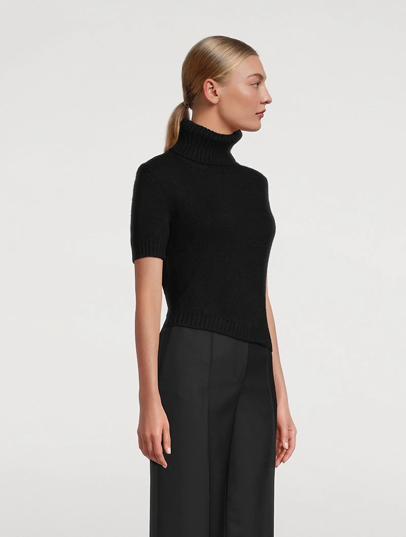 Dria Cashmere And Mohair Turtleneck