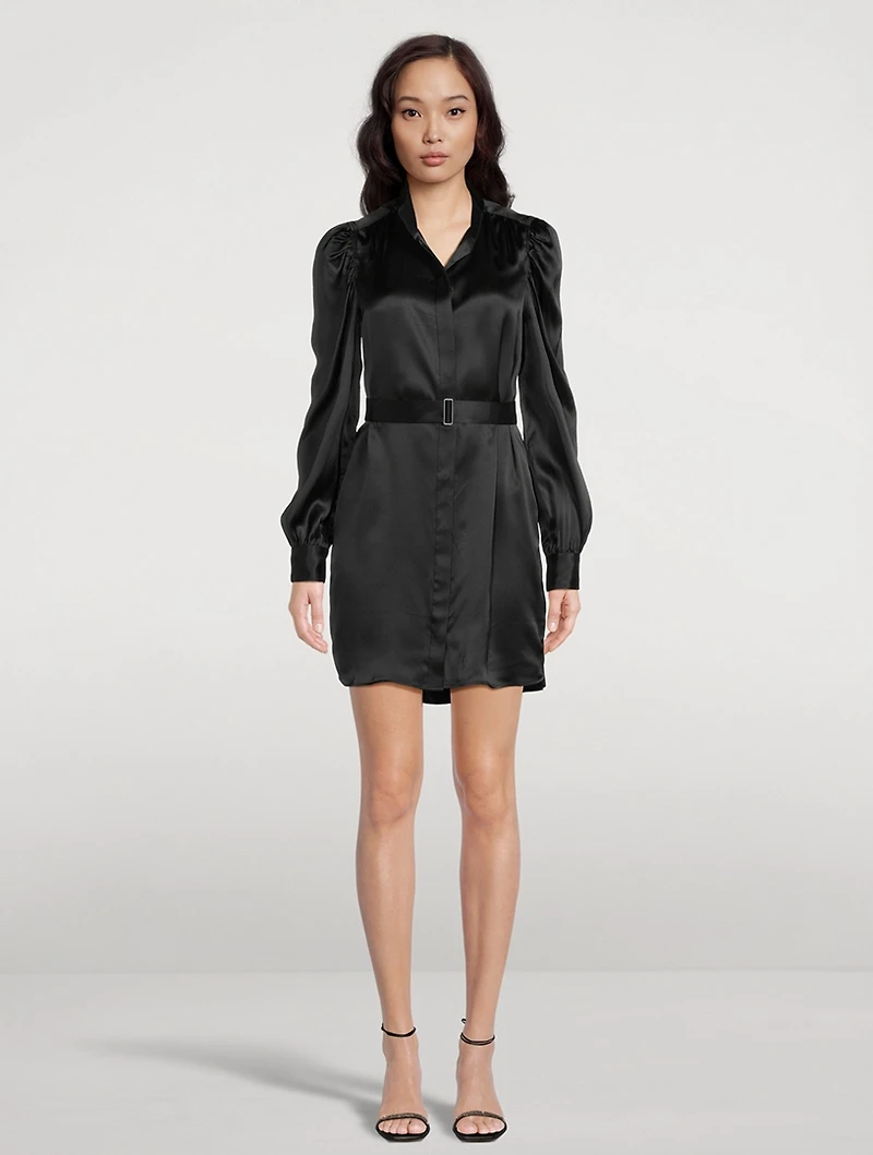 Gillian Silk Shirt Dress