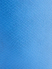 pure Leather Crossbody Phone Case