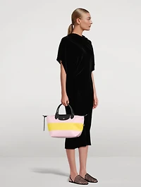 Small Le Pliage Casaque Top Handle Bag