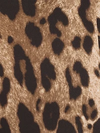 Cady Midi Dress Leopard Print
