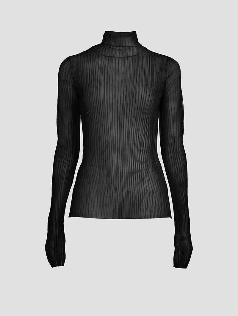 Sheer Turtleneck