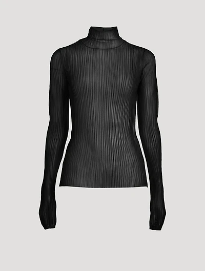Sheer Turtleneck