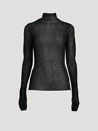 Sheer Turtleneck