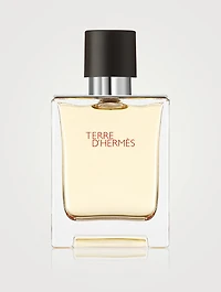 Terre d'Hermès Eau de Toilette