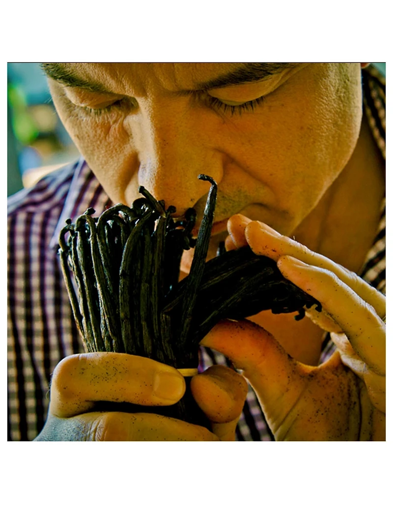 Shalimar Eau de Toilette