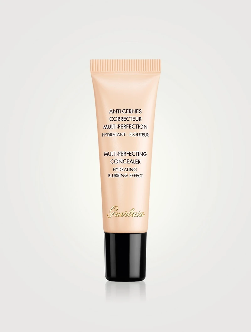 Multi-Perfecting Concealer