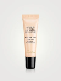 Multi-Perfecting Concealer