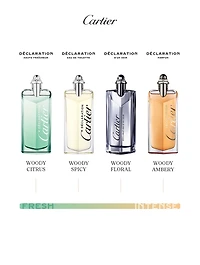 Déclaration d'un Soir Eau de Toilette