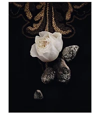 Exquisite Embroidery - Le Vestiaire Des Parfums Collection Orientale