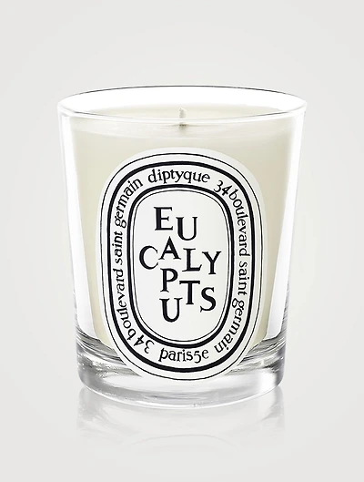Eucalyptus Scented Candle