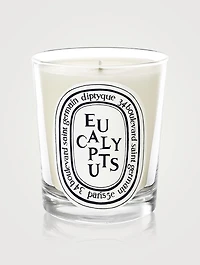 Eucalyptus Scented Candle