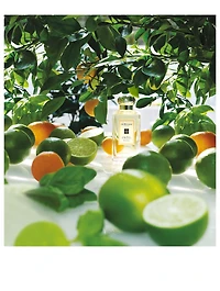 Lime Basil & Mandarin Cologne