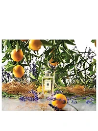 154 Cologne