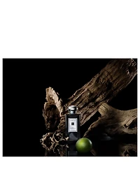 Oud & Bergamot Cologne Intense