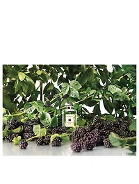 Blackberry & Bay Cologne