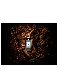 Myrrh & Tonka Cologne Intense