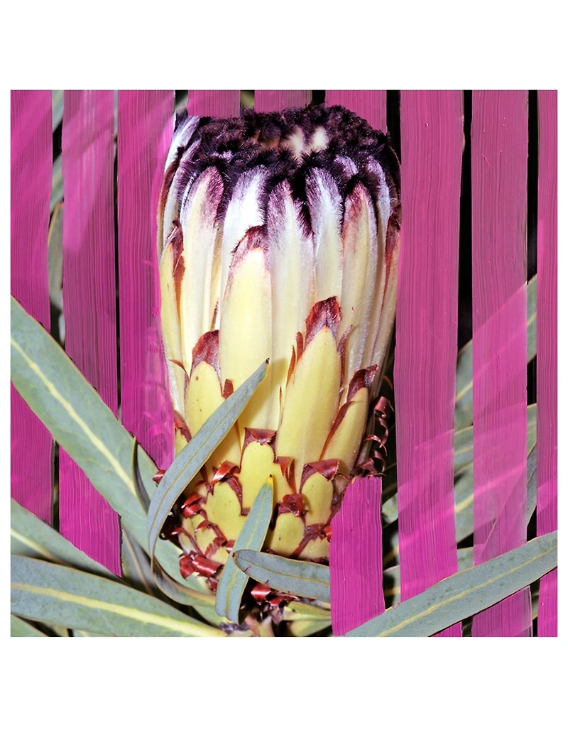 Inflorescence Eau de Parfum