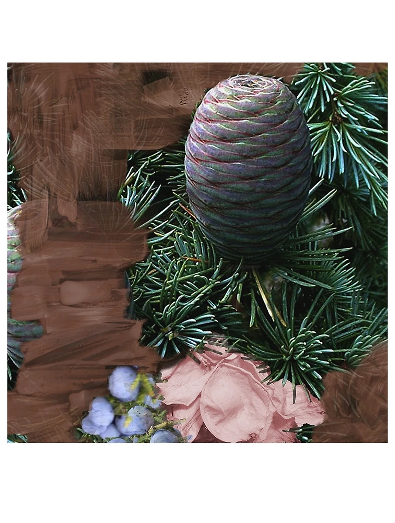 Super Cedar Eau de Parfum
