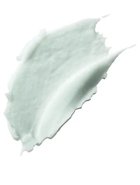 The Body Refiner