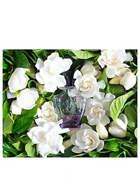 Fleurs De Gardenia Eau Parfum