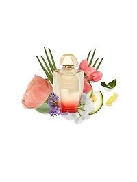 Vetiver Geranium Eau De Parfum