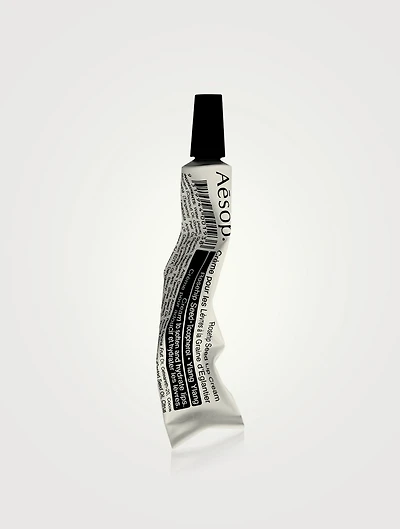 Rosehip Seed Lip Cream