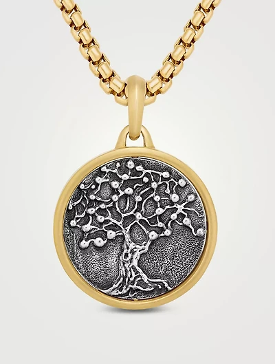 Life And Death Duality Amulet In Sterling Silver With 18k Yellow Gold, 30mm