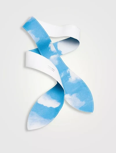 Handle Ribbon Lambskin Clouds