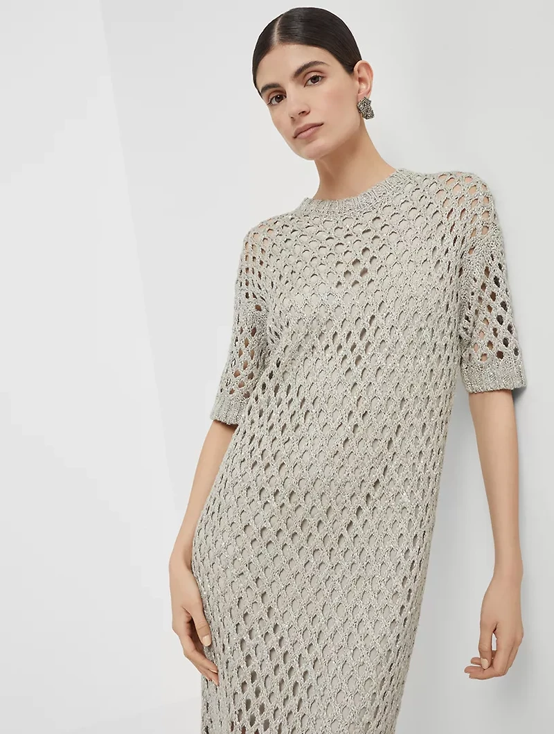 Dazzling Net Dress