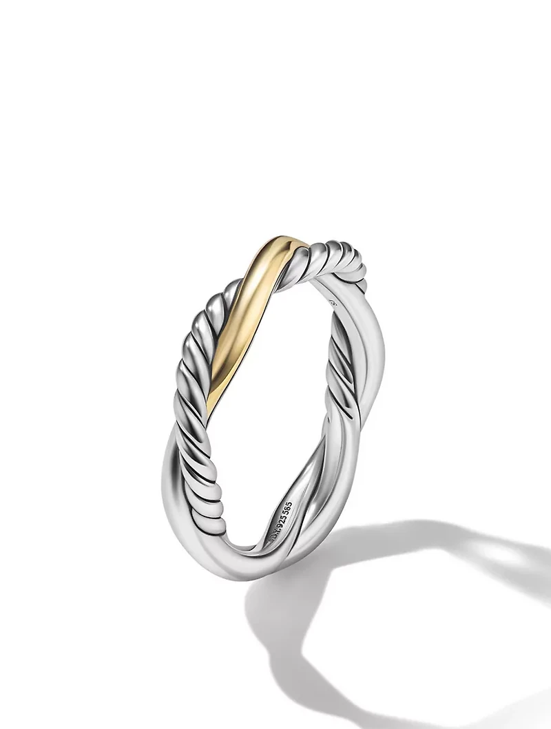 Petite Infinity Band Ring Sterling Silver With 14k Yellow Gold
