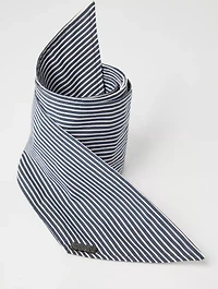Poplin Foulard