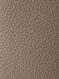 Small Leather Shoulder Bag