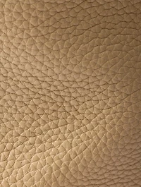 Large Leather Tote Bag