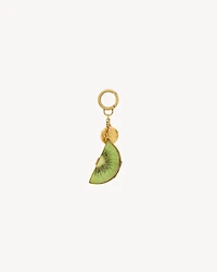 kiwi keyring in resin