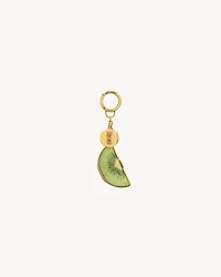 kiwi keyring in resin