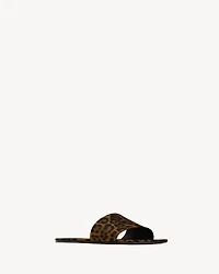 CARLYLE slides leopard grosgrain